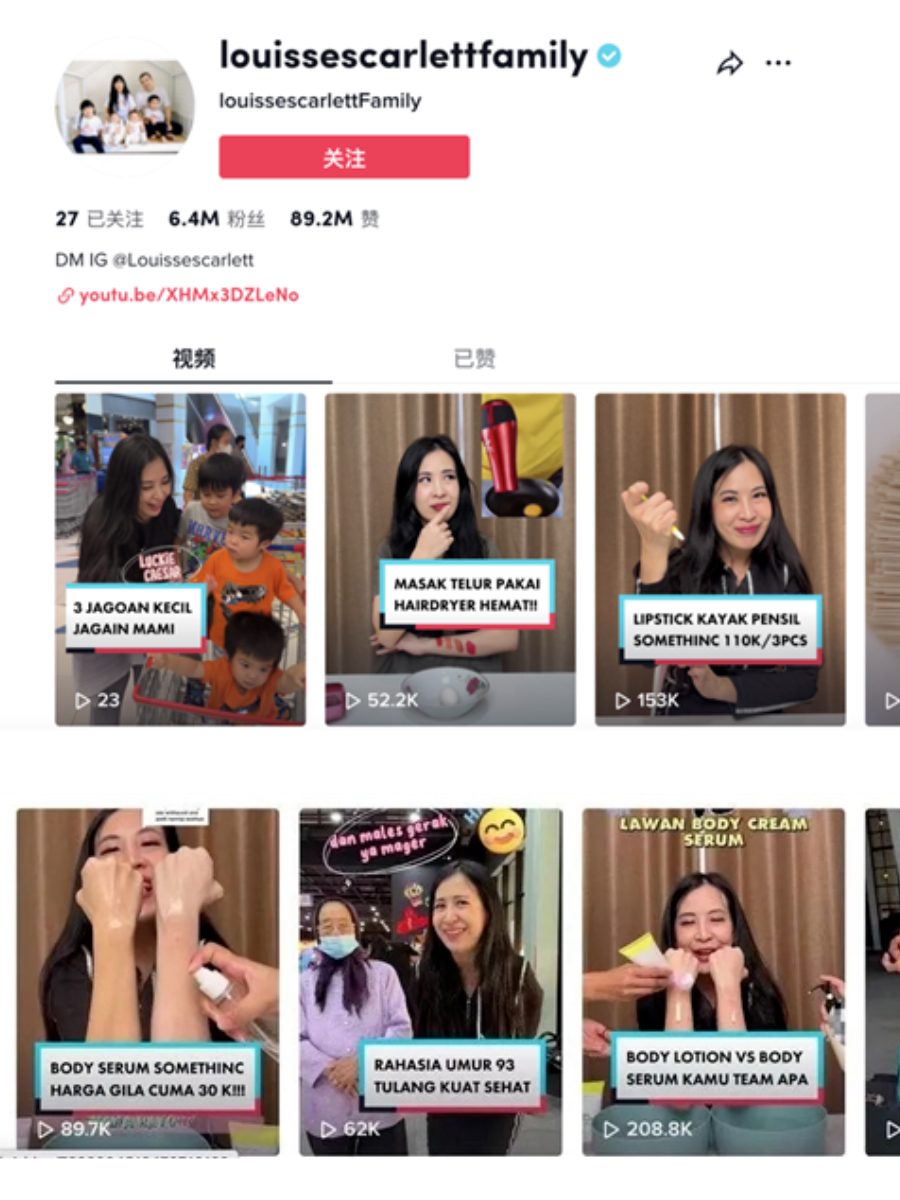 TikTok 询单获客作品